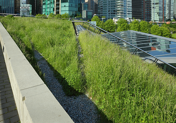 Green roof installation