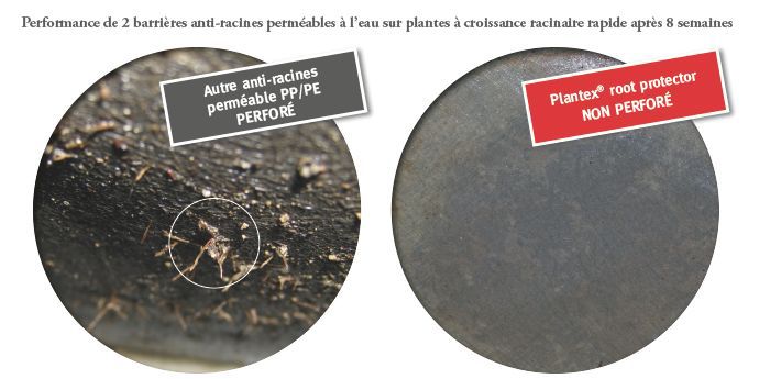 DP-Plantex-root-protector-test1-1.jpg