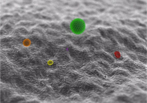 Outstanding Resistance to Microbial Penetration