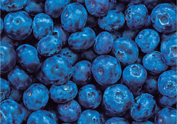 Housses de fret Tyvek® pour les produits périssables