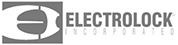 DSF-Electrolock-gray-logo-45px.jpg