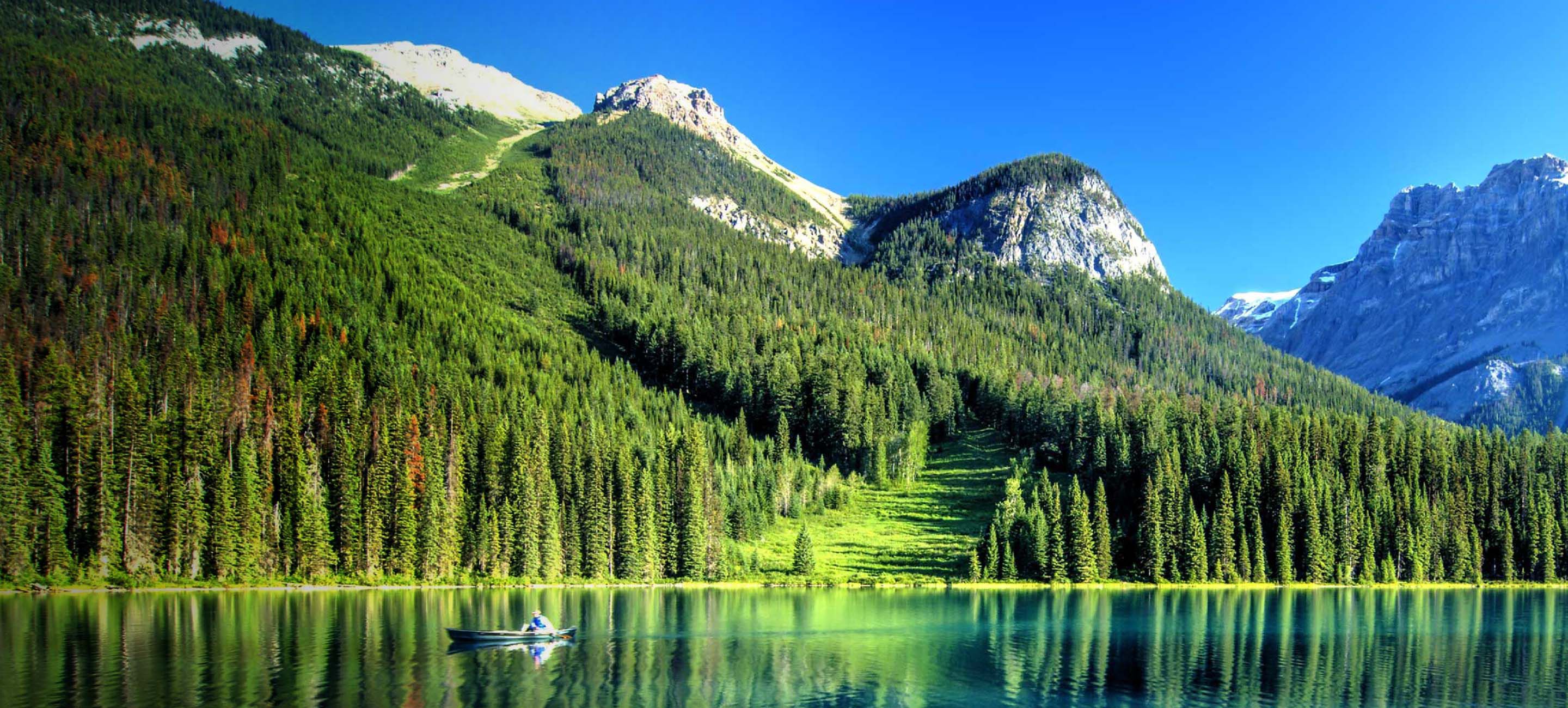 tyvek-advancing-sustainability