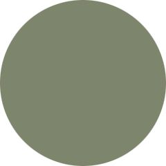 Nomex® Essential 450A na cor Freedom Sage