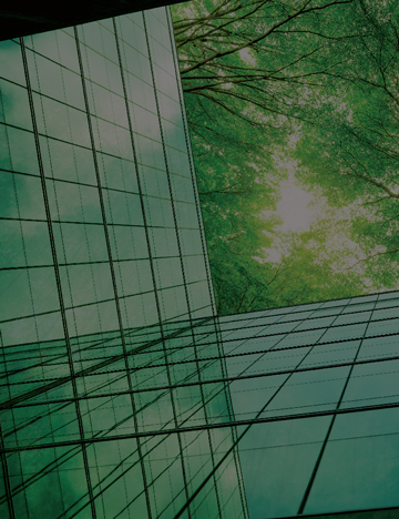 Polyurethane Training