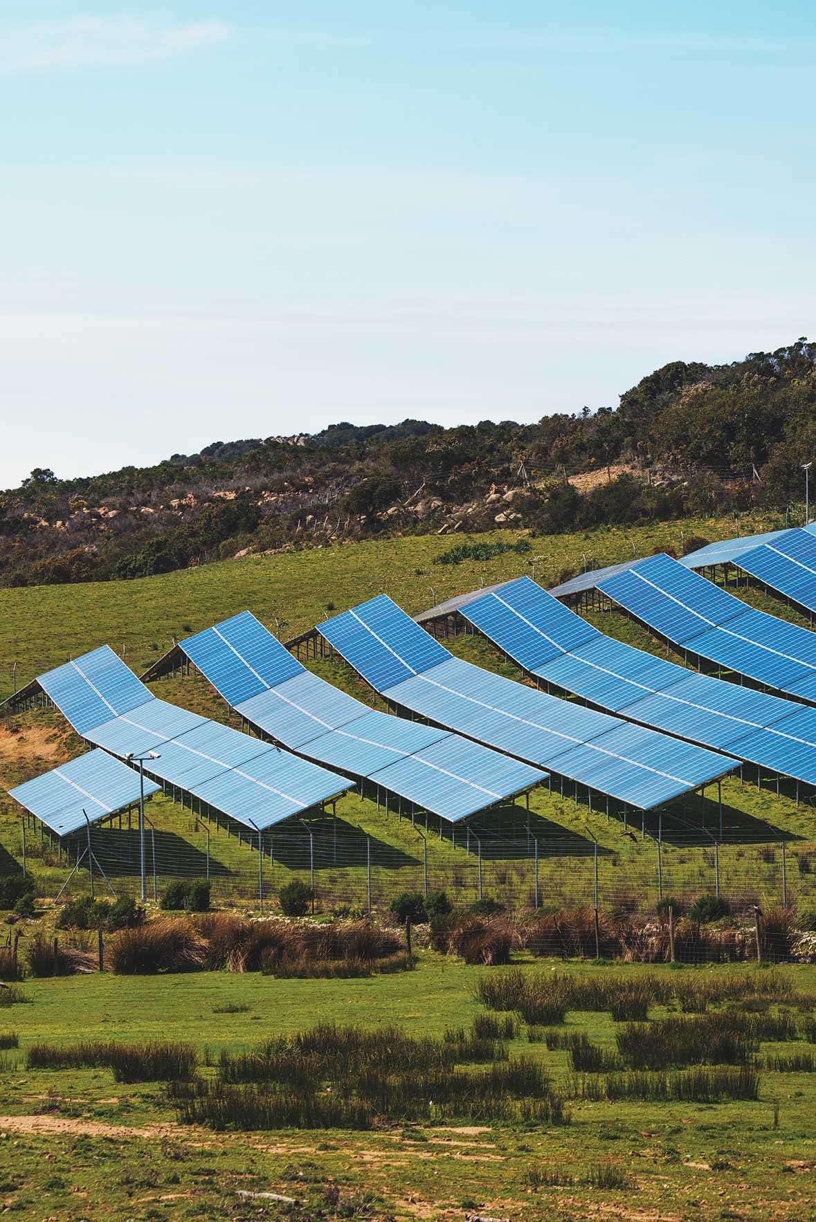 Stocksy_txp8f1155ca9A2200_OriginalDelivery_942122