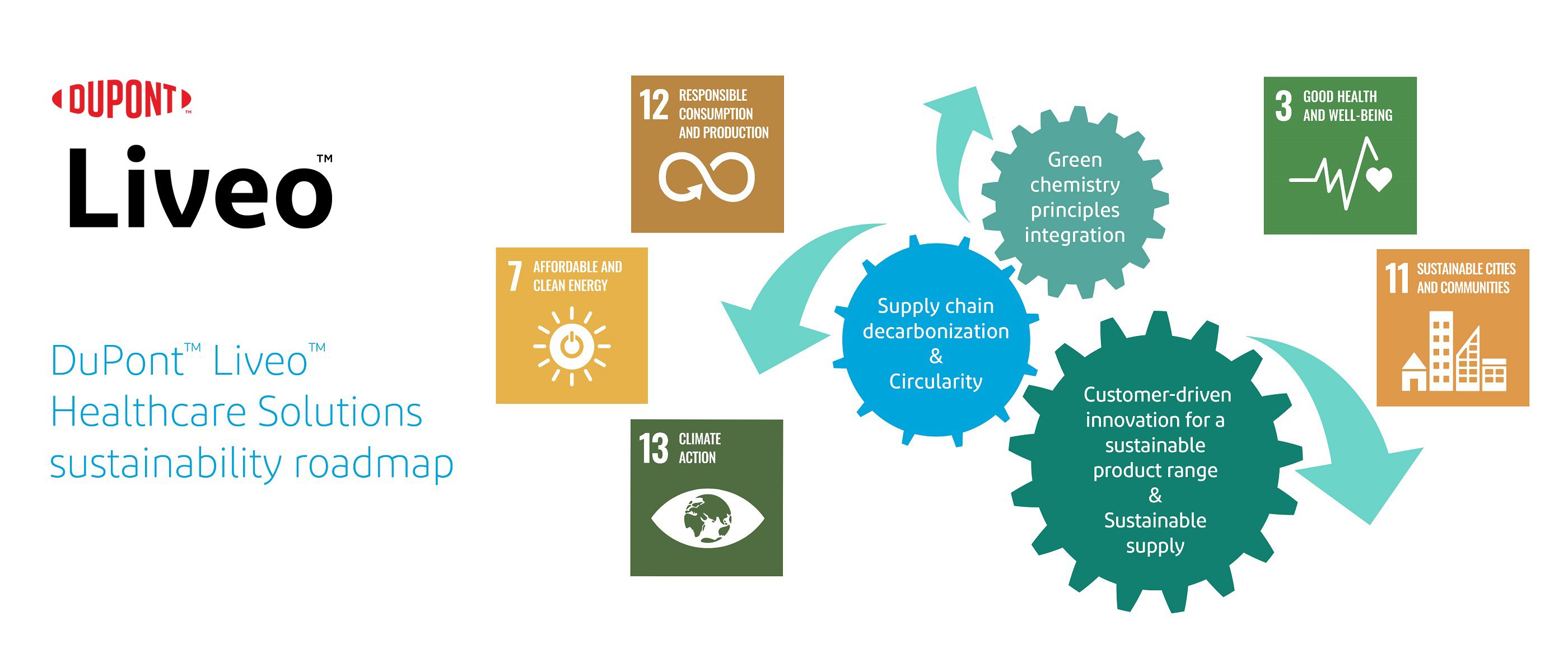 17090_section6_graphic