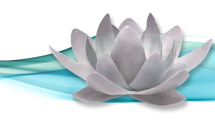 lotus flower representing b-free biofouling prevention