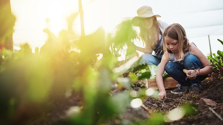 Young girl with her mother walking through a corn field