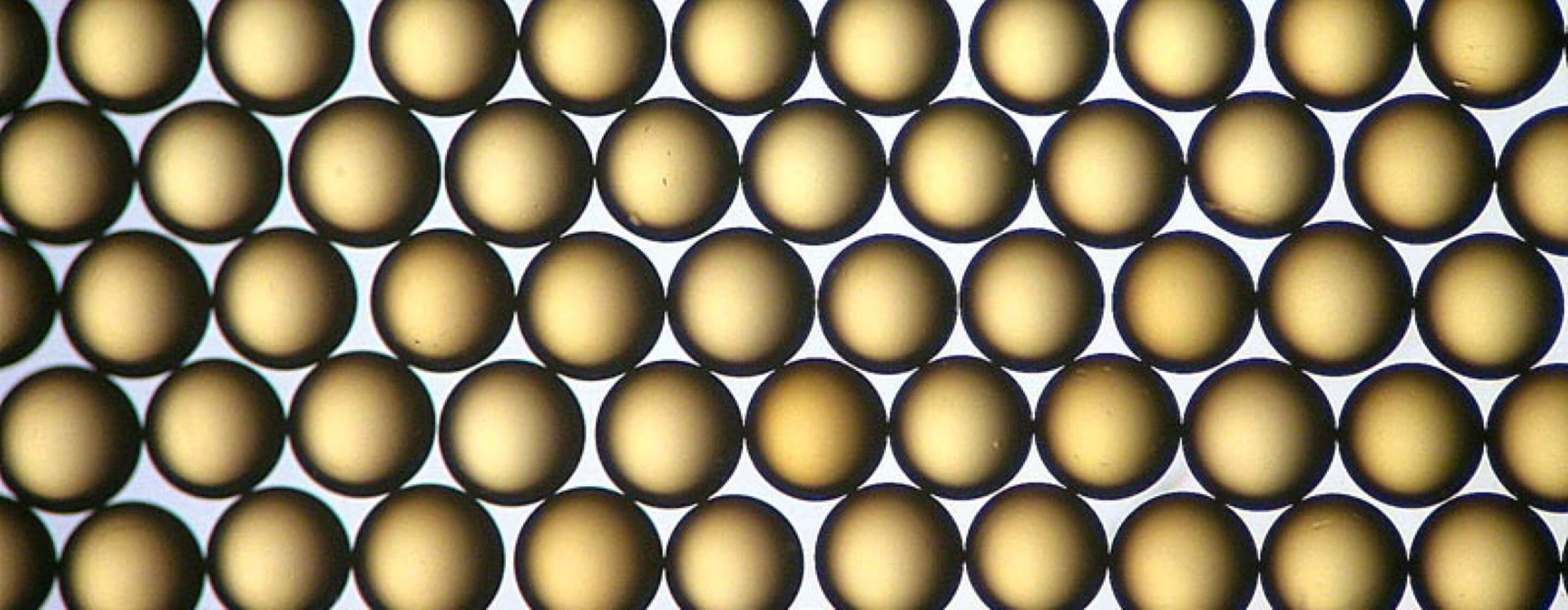 Microscopic image of amber-colored, spherical ion exchange resins resembling beads