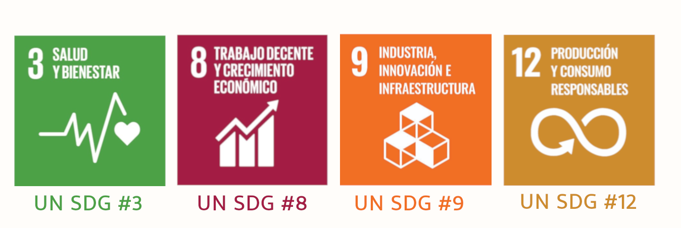 UN SDG
