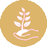sustentabilidad-icon-resized.png