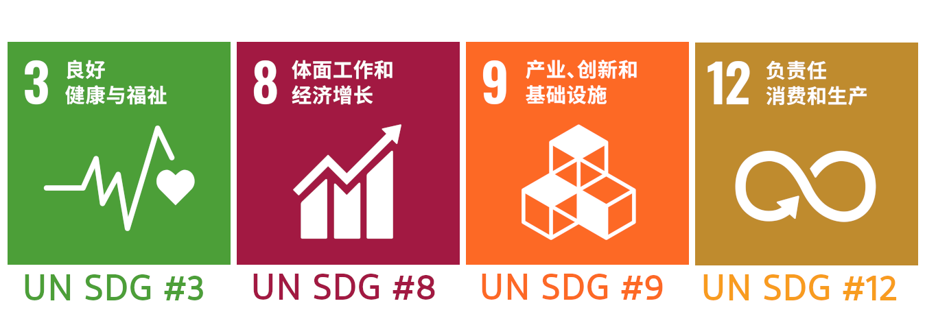 UN SDG