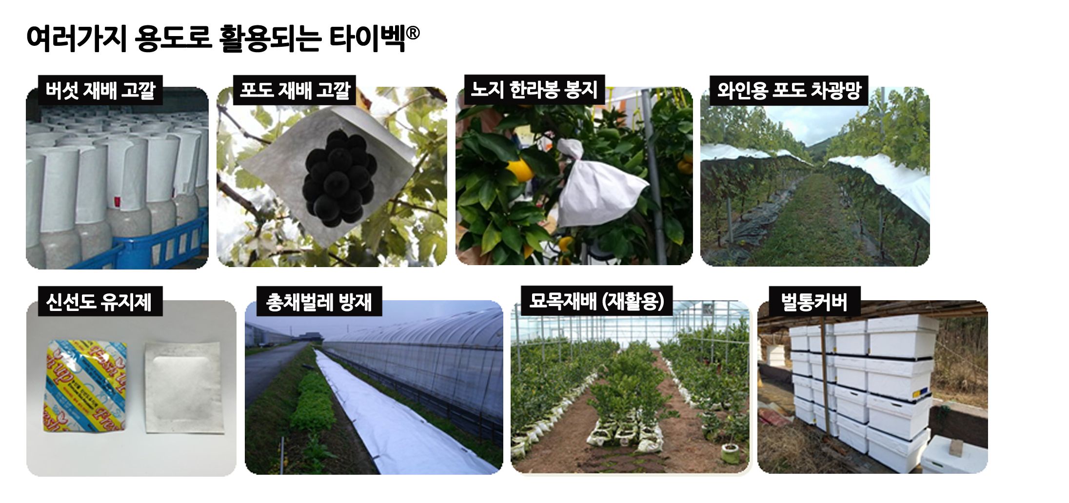 杜邦™ Tyvek® 反光地膜解决方案介绍单页