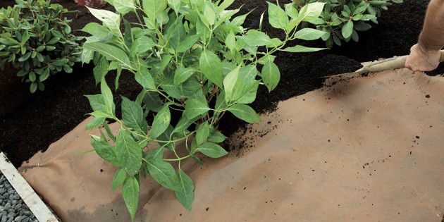 Typar-functions-separation-stabilisation