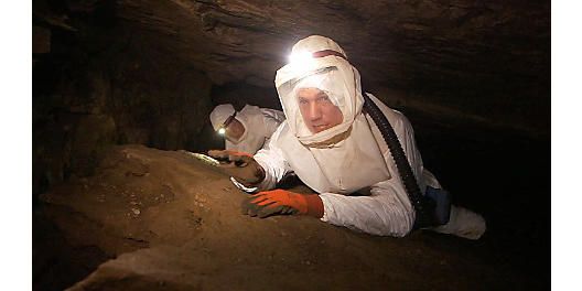 160822121454-bat-cave-researchers-exlarge-169