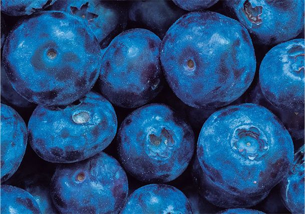 DuPont™ Tyvek® Cargo Covers: Providing Perishables Protection