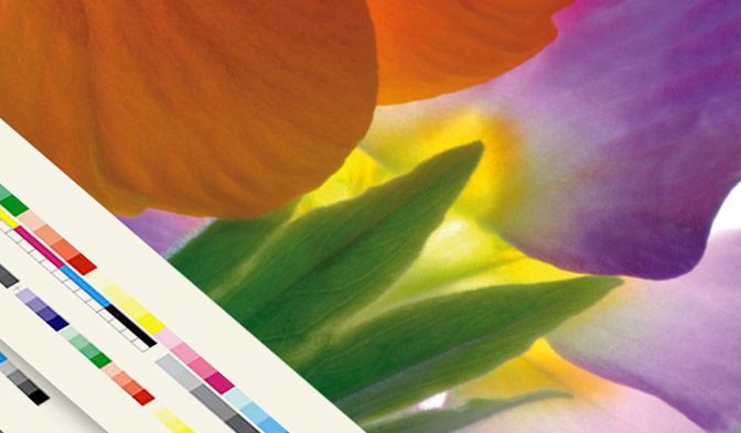 Like paper, DuPont™ Tyvek® support most traditional and digital printing techniques