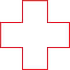 Healthcare market icon