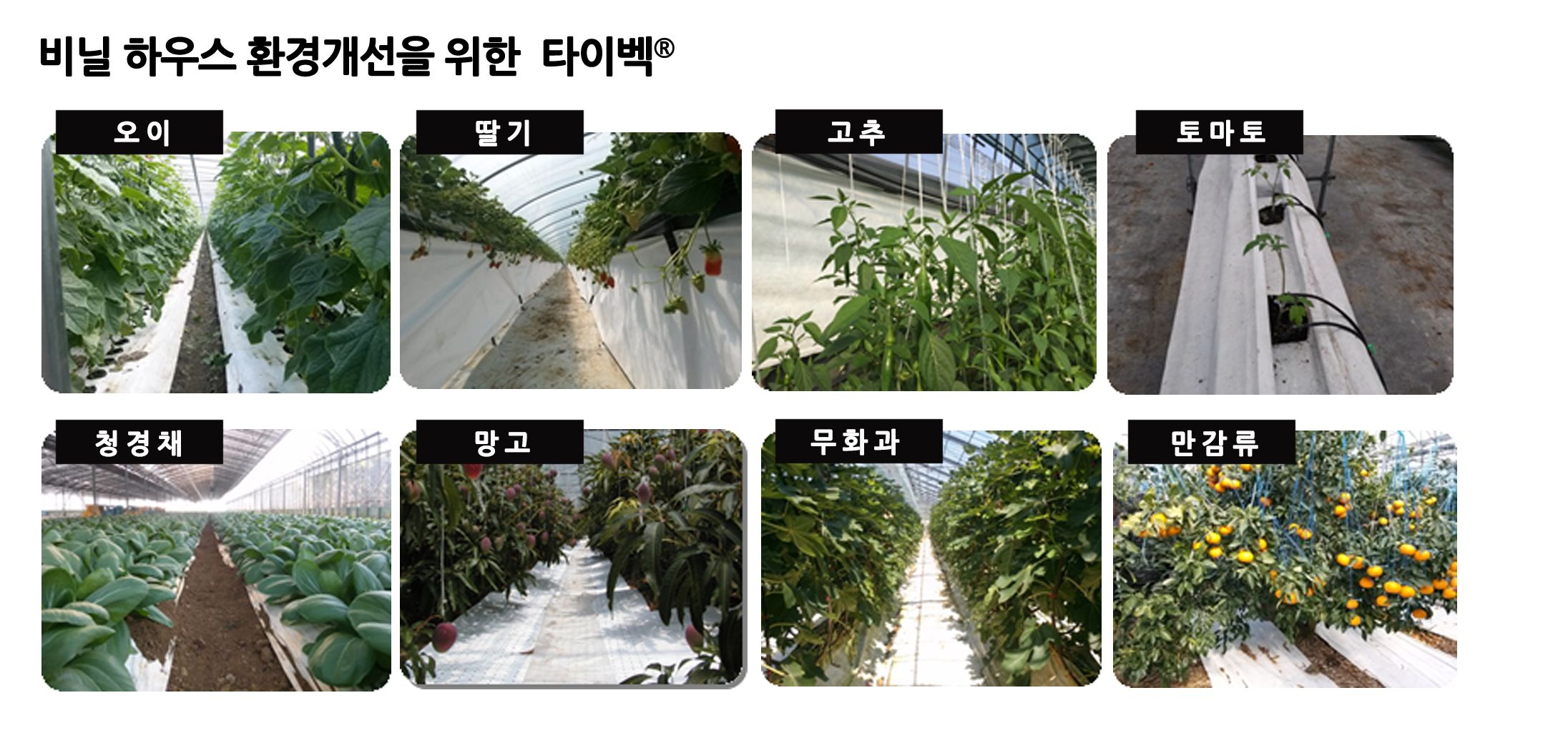 杜邦™ Tyvek® 反光地膜解决方案介绍单页